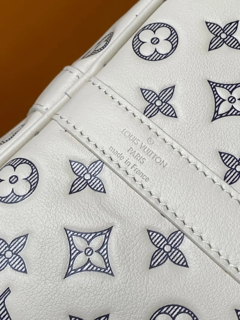Louis Vuitton Travel Bags Popular 42210