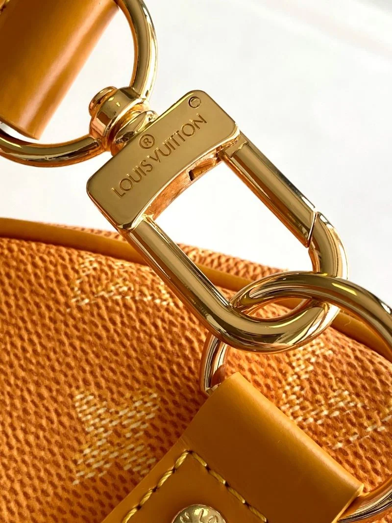 Louis Vuitton Travel Bags Affordable 42159