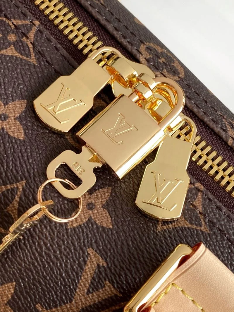 Louis Vuitton Travel Bags AllSeason 42144