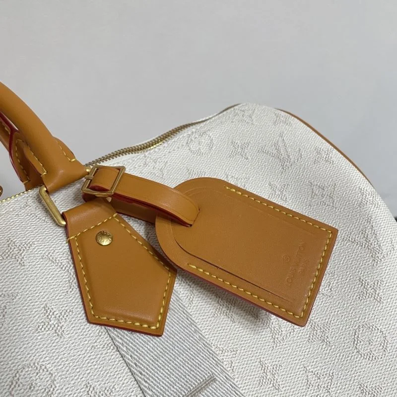 Louis Vuitton Travel Bags DailyWear 41459