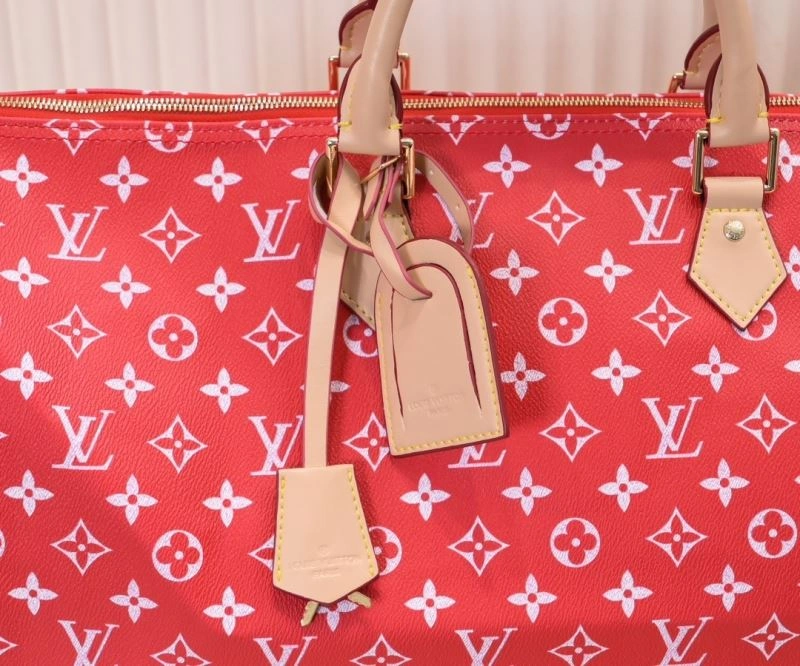 Louis Vuitton Travel Bags Contemporary 79068