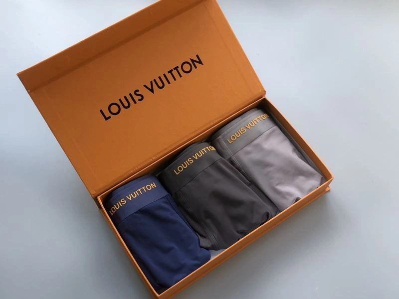 Louis Vuitton Underwear Stylish 276868