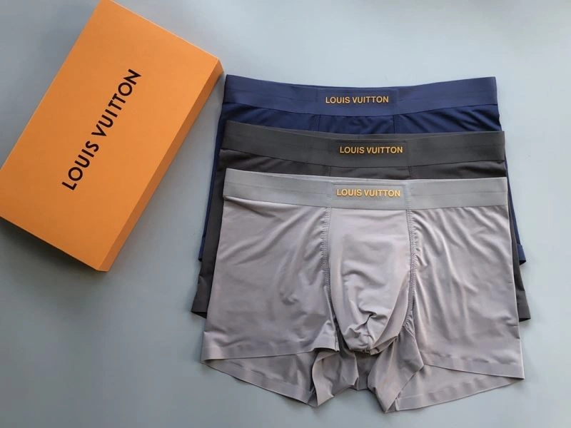 Louis Vuitton Underwear Stylish 276868