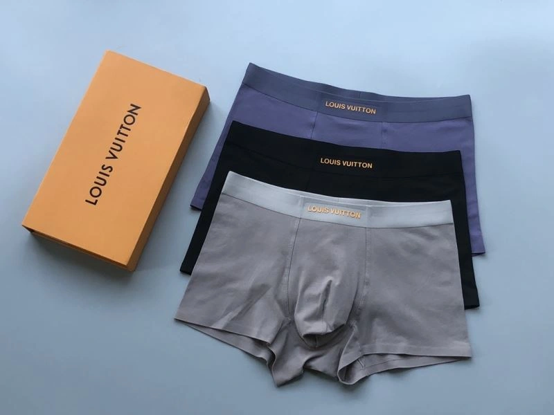 Louis Vuitton Underwear Resilient 276754