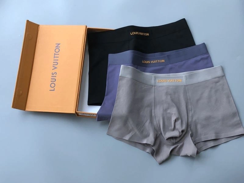 Louis Vuitton Underwear Resilient 276754