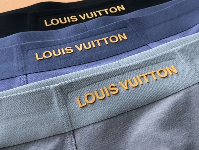 Louis Vuitton Underwear Resilient 276754