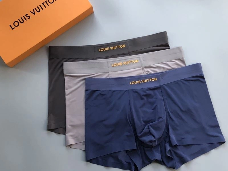Louis Vuitton Underwear Youthful 276749