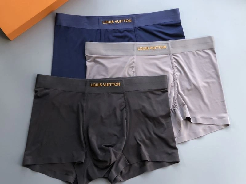 Louis Vuitton Underwear Youthful 276749