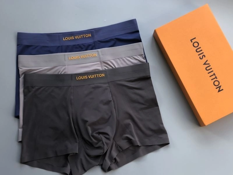 Louis Vuitton Underwear Youthful 276749