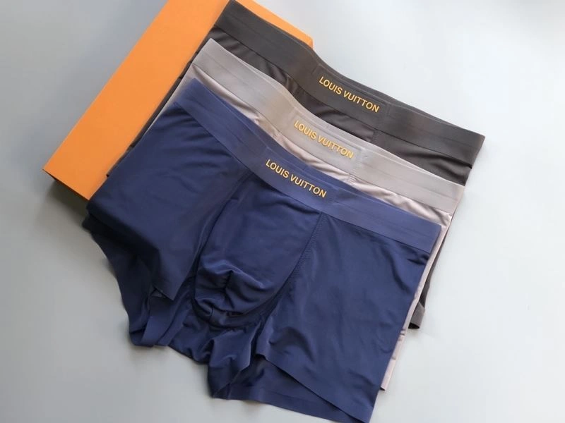 Louis Vuitton Underwear Youthful 276749