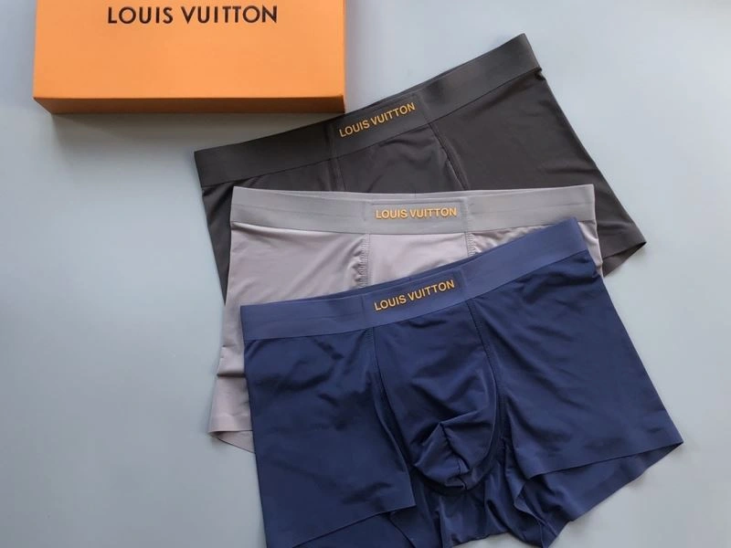 Louis Vuitton Underwear Youthful 276749