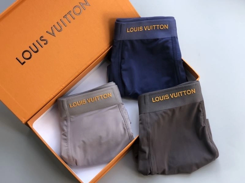 Louis Vuitton Underwear Youthful 276749