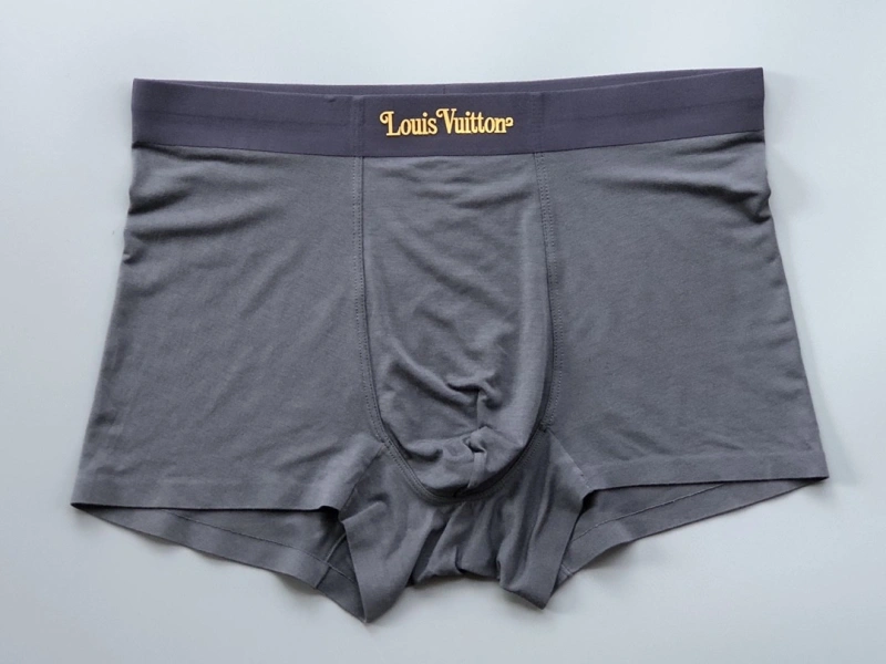 Trendsetting Louis Vuitton Underwear 276740