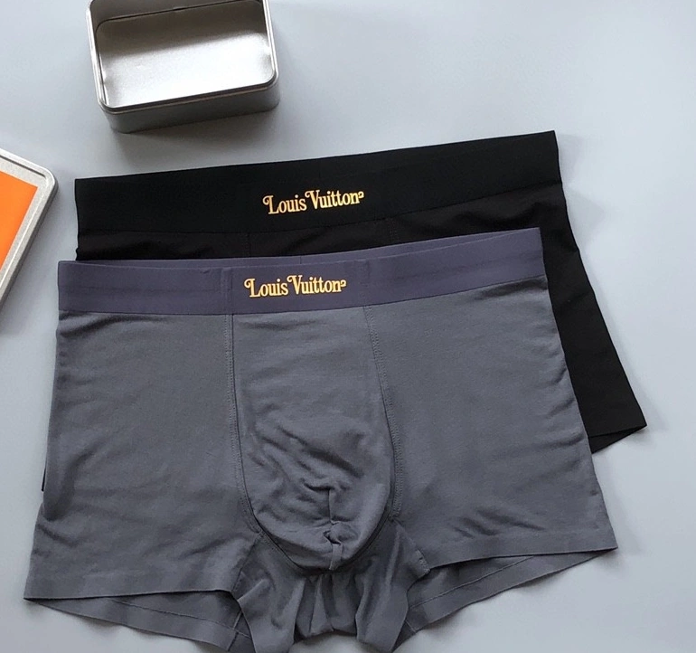 Trendsetting Louis Vuitton Underwear 276740