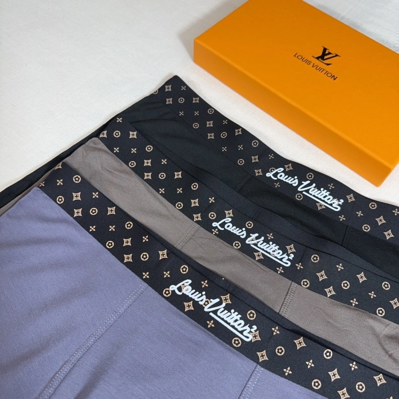 Louis Vuitton Underwear WrinkleFree 276628
