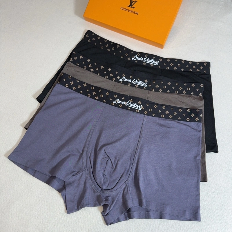 Louis Vuitton Underwear WrinkleFree 276628