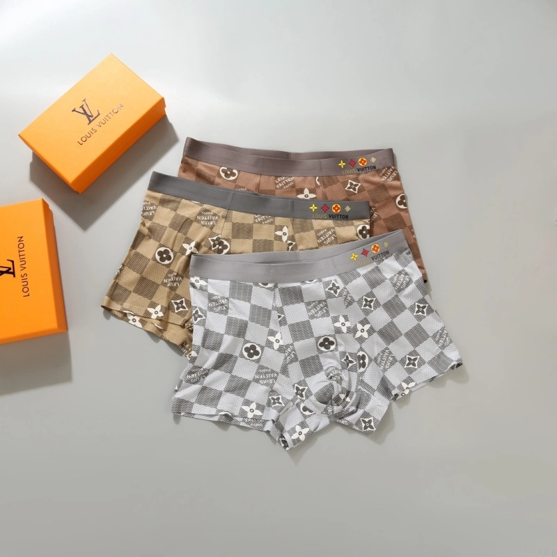 Louis Vuitton Underwear DailyWear 276623
