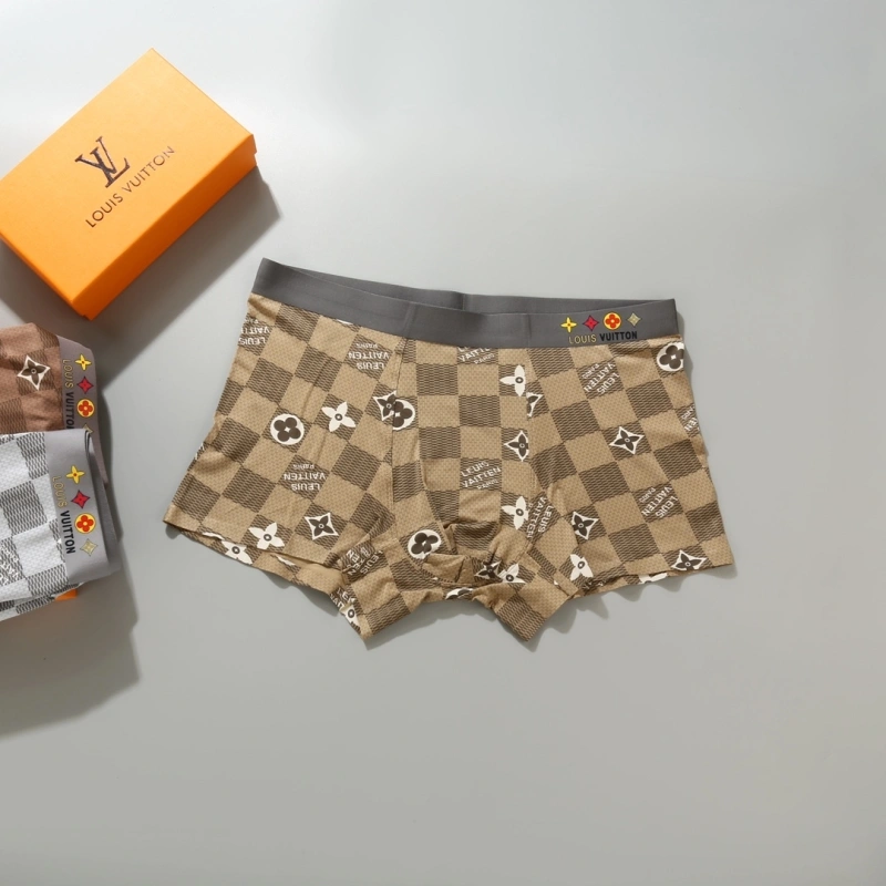 Louis Vuitton Underwear DailyWear 276623