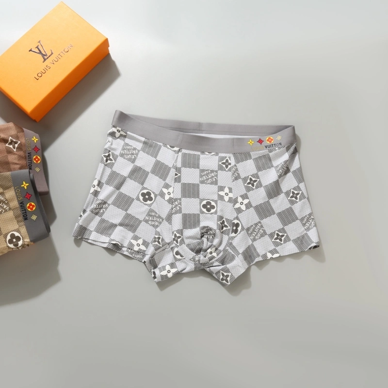 Louis Vuitton Underwear DailyWear 276623