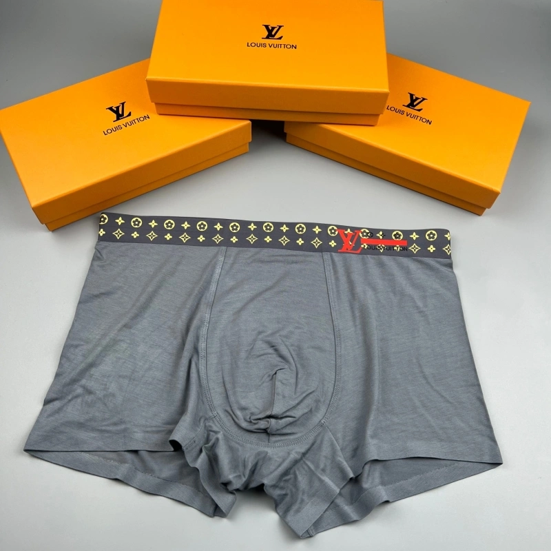 Neat Louis Vuitton Underwear 276618