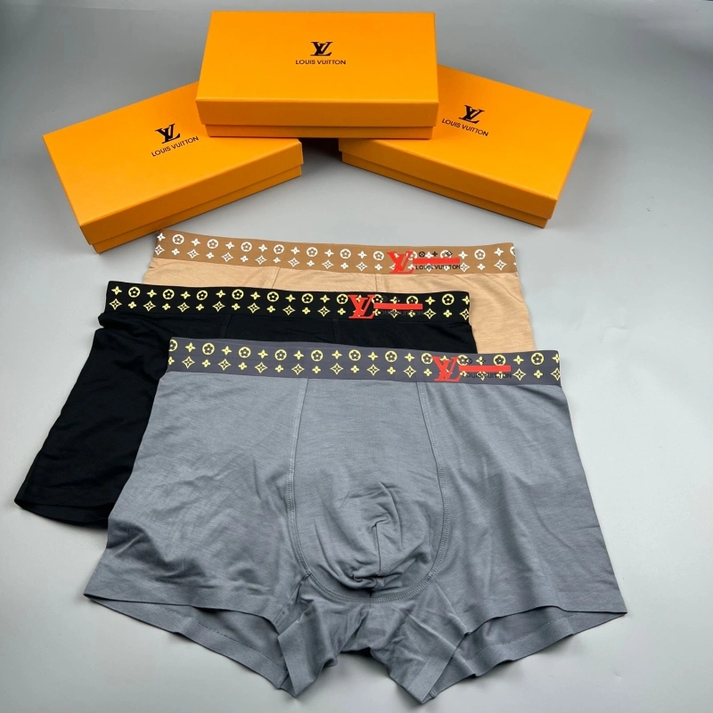 Neat Louis Vuitton Underwear 276618