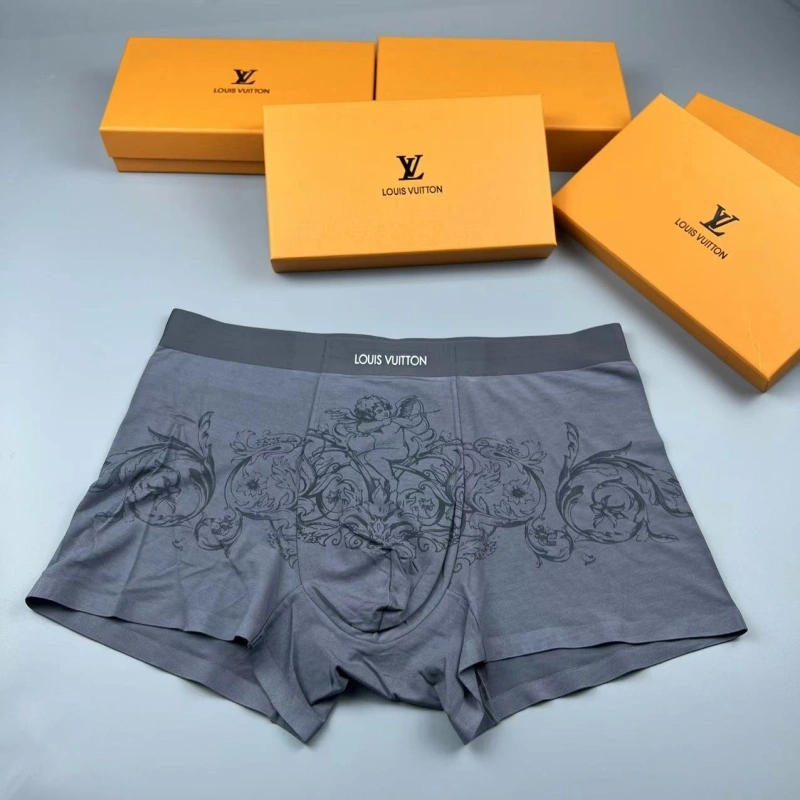 GoAnywhere Louis Vuitton Underwear 276615