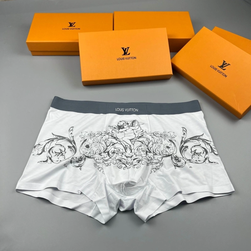 GoAnywhere Louis Vuitton Underwear 276615