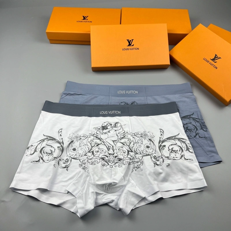 GoAnywhere Louis Vuitton Underwear 276615