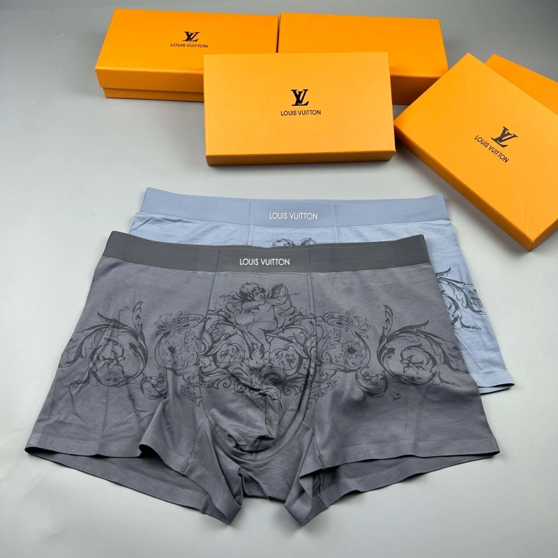 GoAnywhere Louis Vuitton Underwear 276615