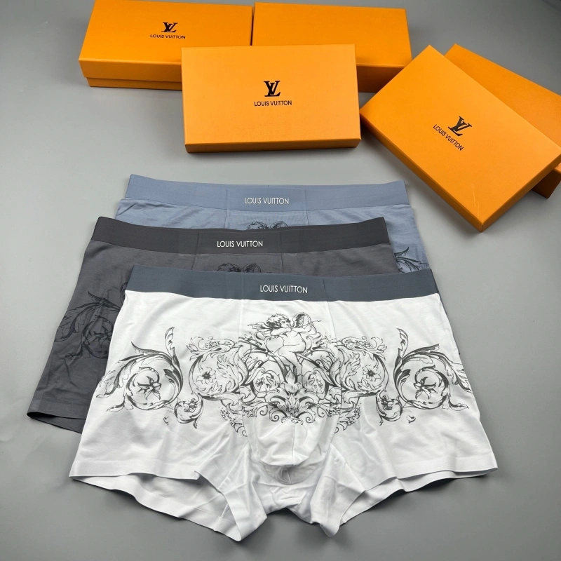GoAnywhere Louis Vuitton Underwear 276615