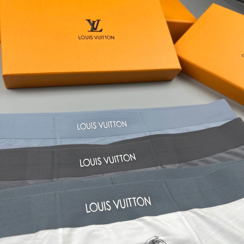 GoAnywhere Louis Vuitton Underwear 276615