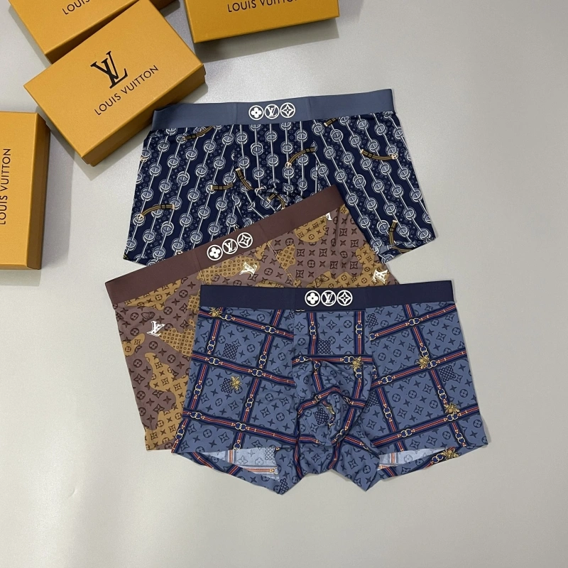 Louis Vuitton Underwear FastDry 276304