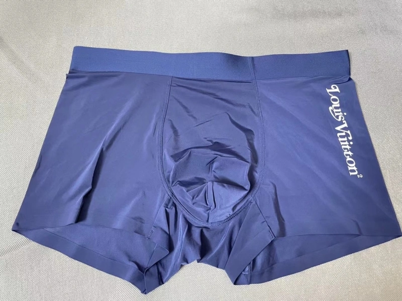 Louis Vuitton Underwear AllSeason 276259