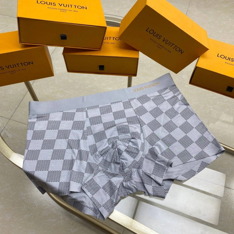 TravelReady Louis Vuitton Underwear 276258