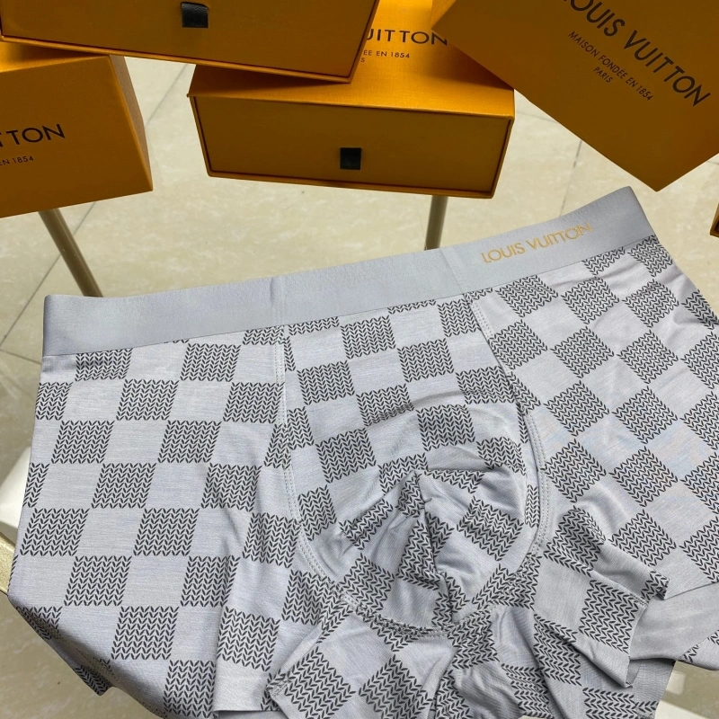 TravelReady Louis Vuitton Underwear 276258