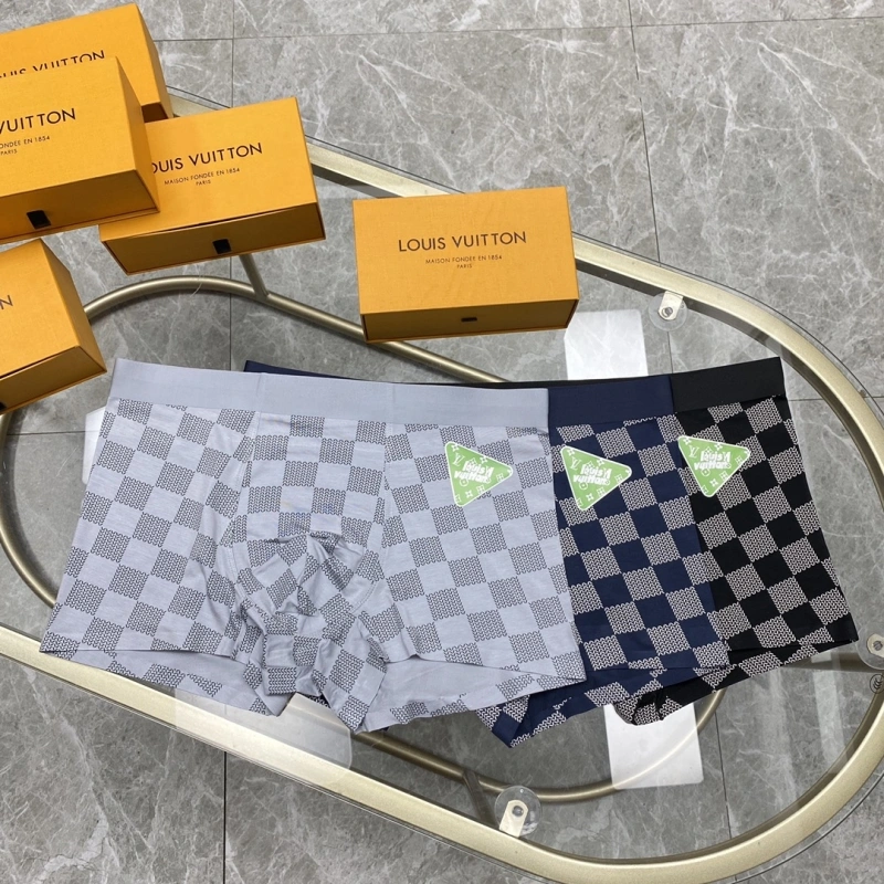 Louis Vuitton Underwear Sleek 276261