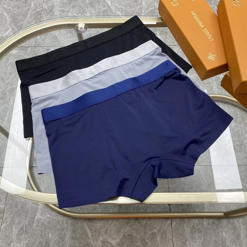 Louis Vuitton Underwear Bold 276254