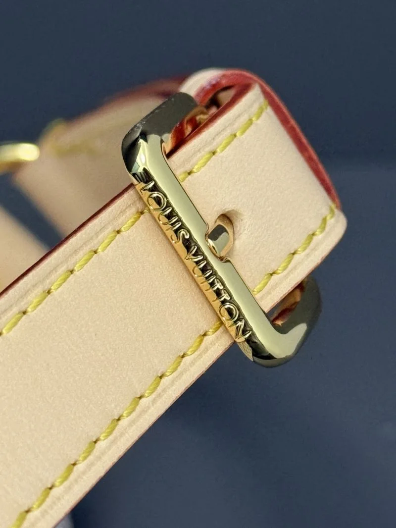 Louis Vuitton Waist Chest Packs Timeless 40249