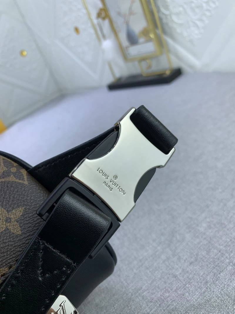 DailyWear Louis Vuitton Waist Chest Packs 79028