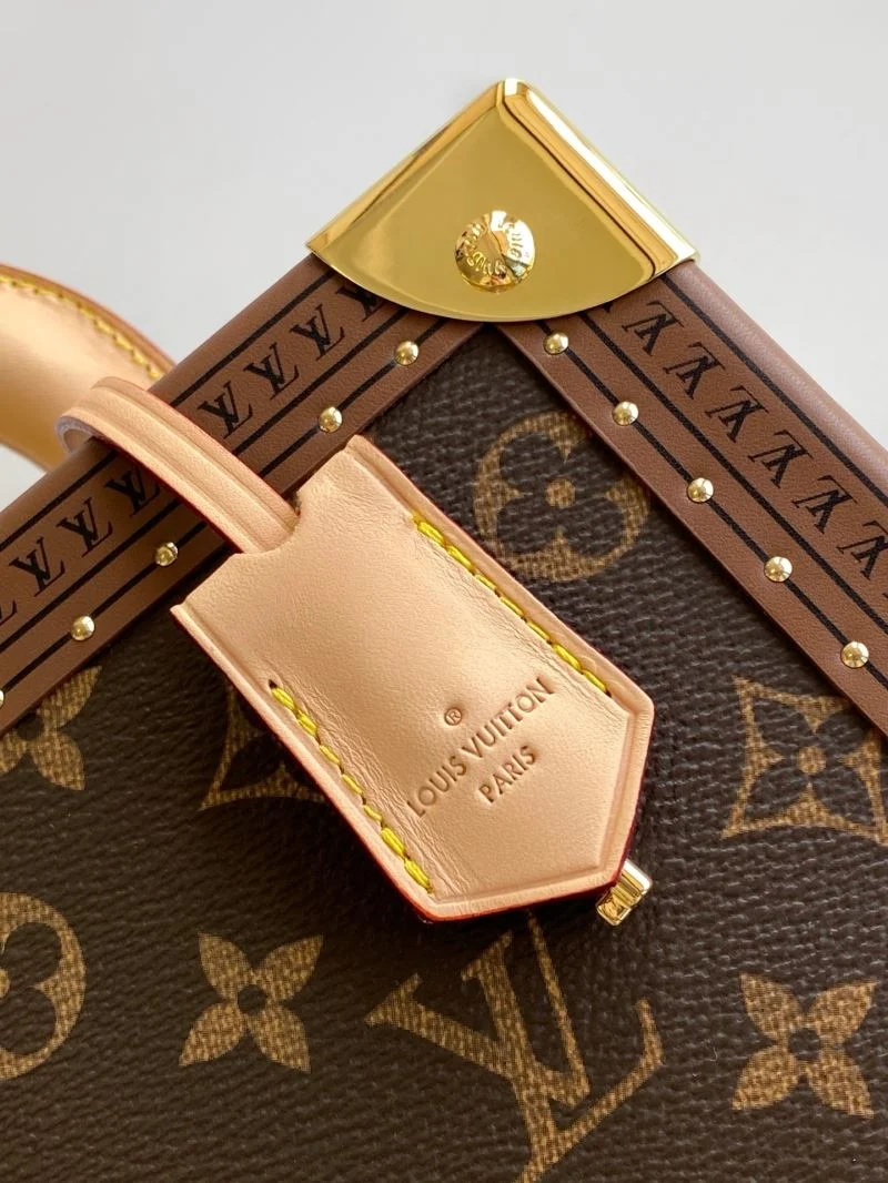 Stretchable Louis Vuitton Watch Box 42074