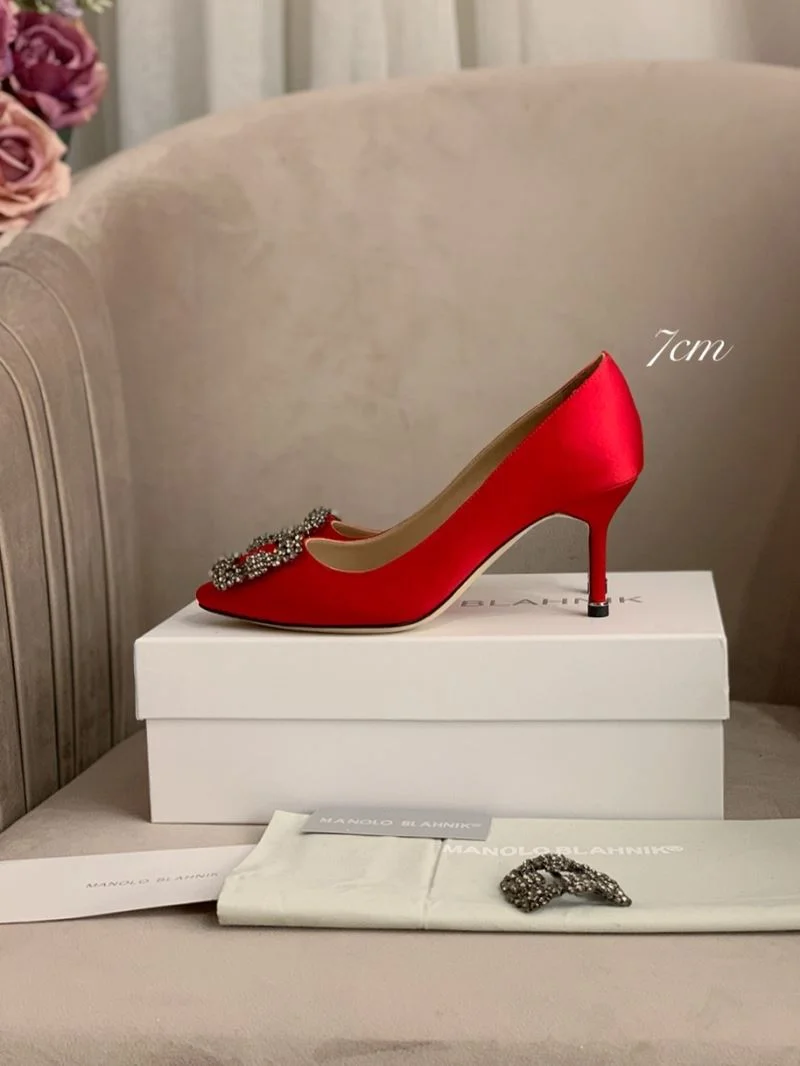 Sleek Manolo Blahnik Shoes 9734