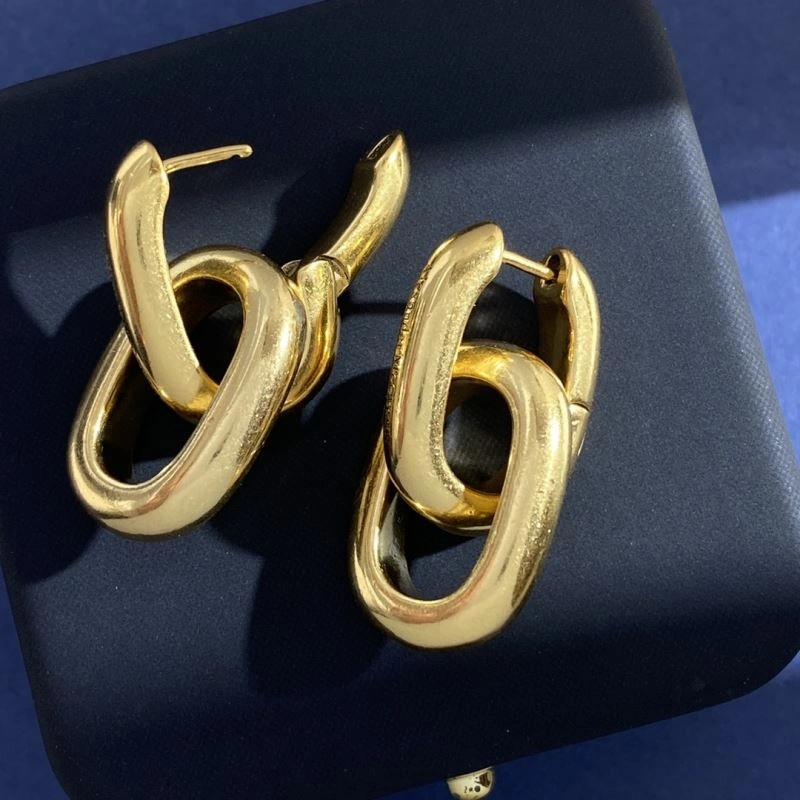 Mcqueen Earrings Affordable 211167