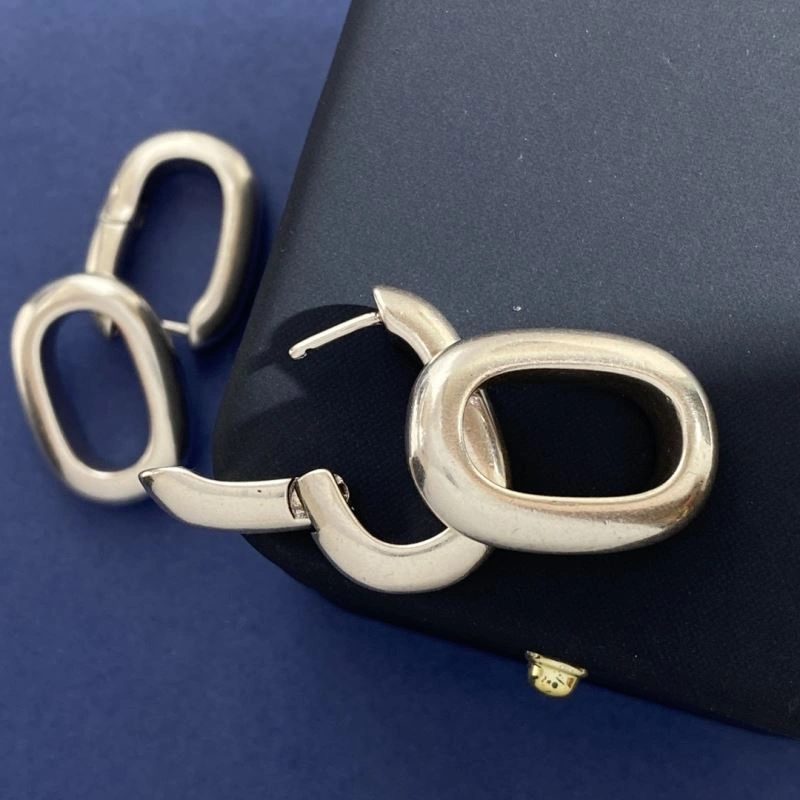 Mcqueen Earrings Affordable 211167