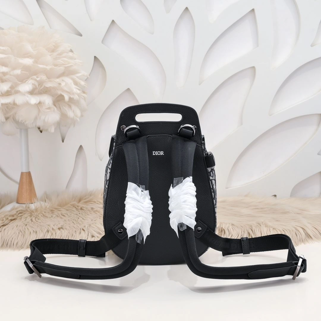 Fashionable Mens Christian Dior Backpacks 91194