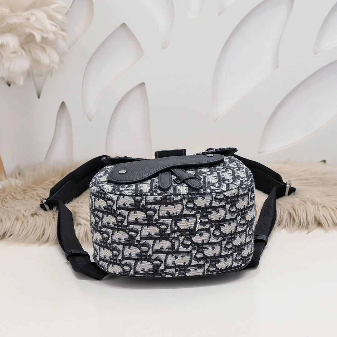 Fashionable Mens Christian Dior Backpacks 91194