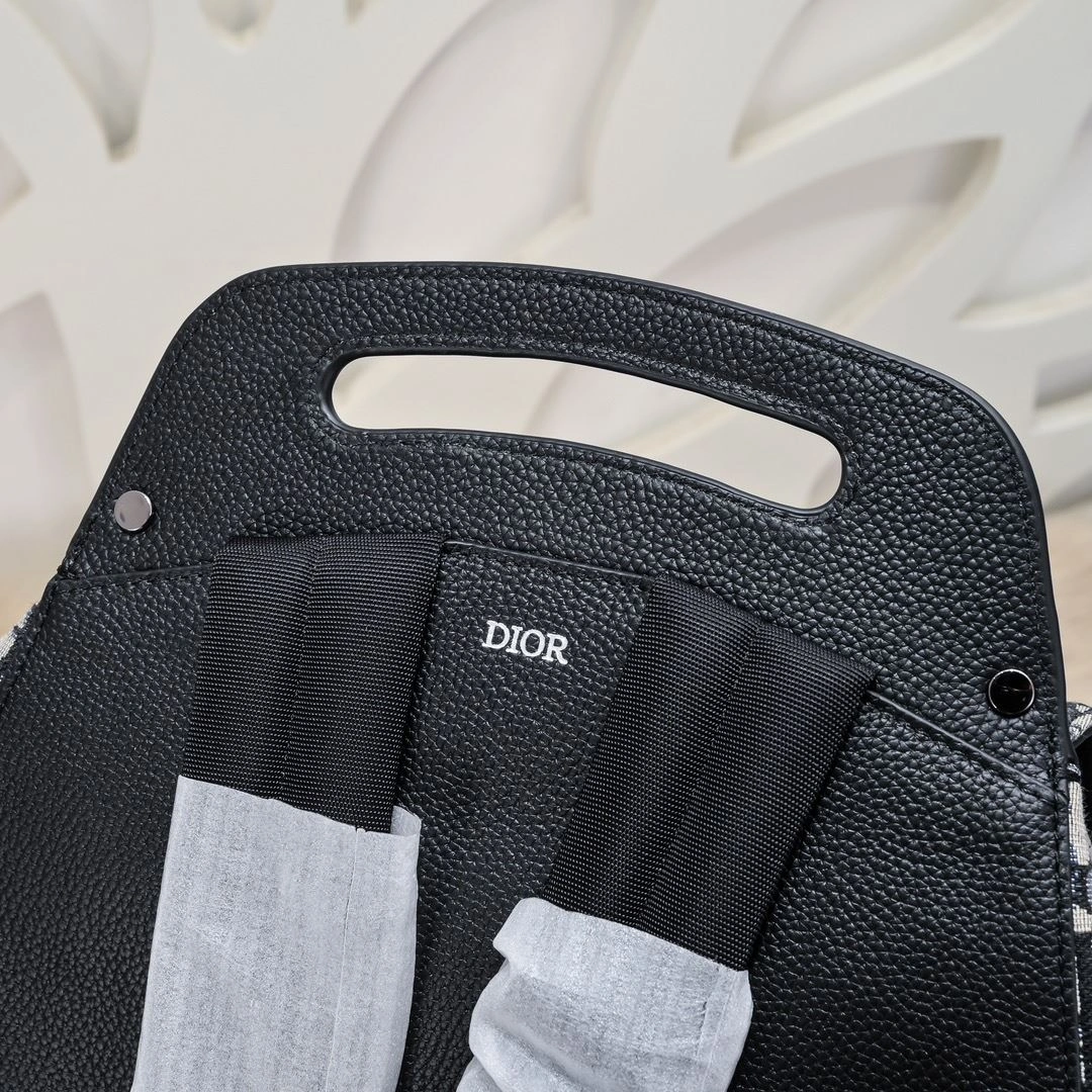 Mens Christian Dior Backpacks Affordable 91123
