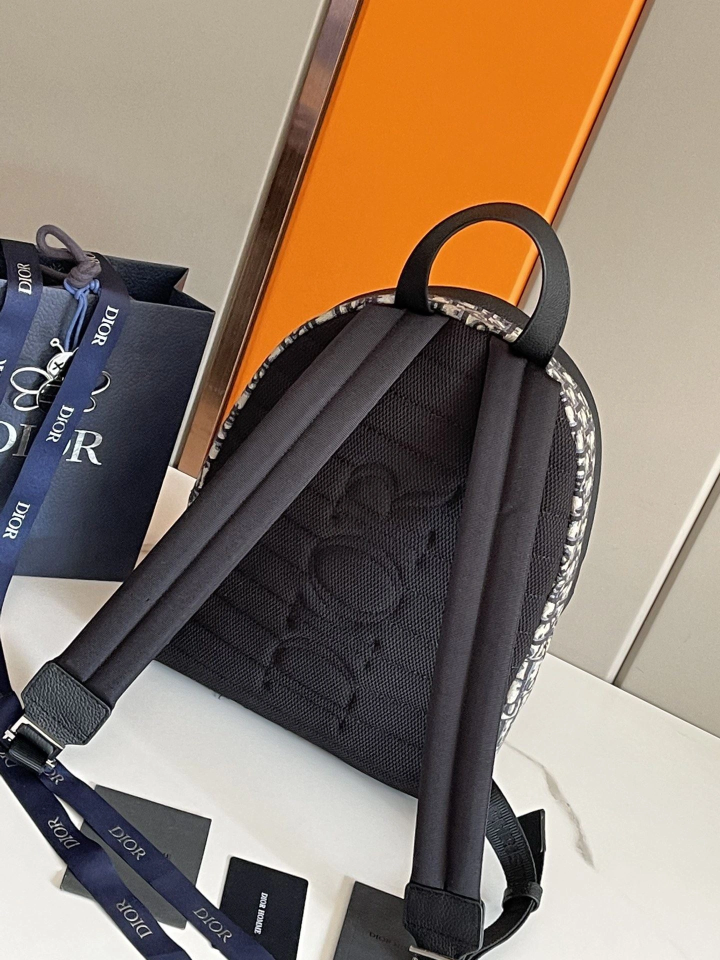 Mens Christian Dior Backpacks Colorful 92141