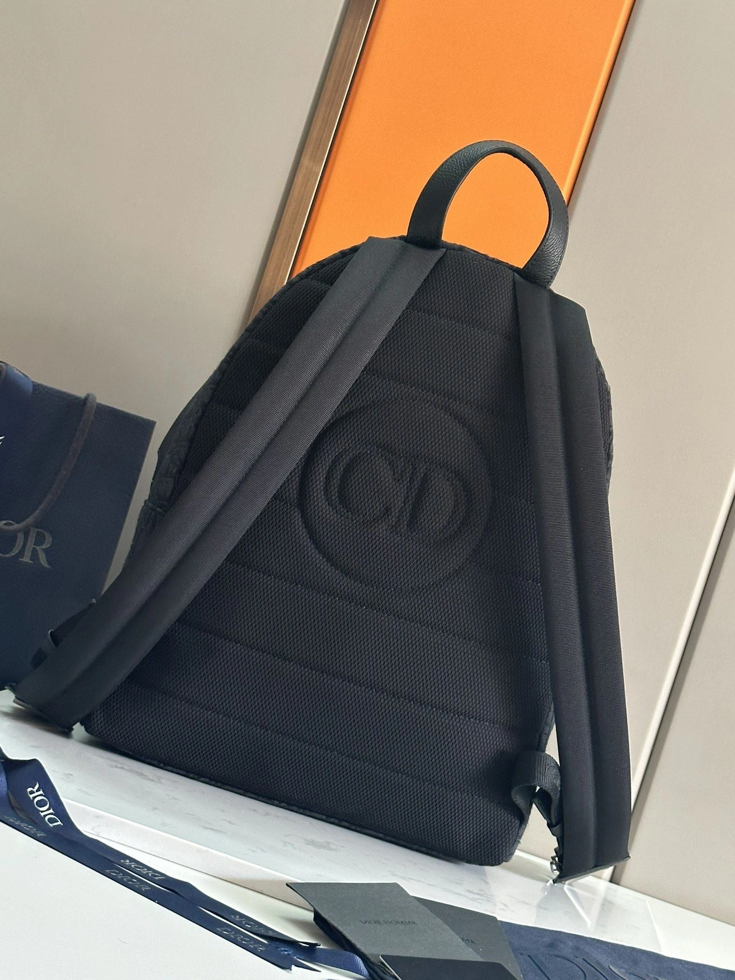 Mens Christian Dior Backpacks OdorResistant 92116