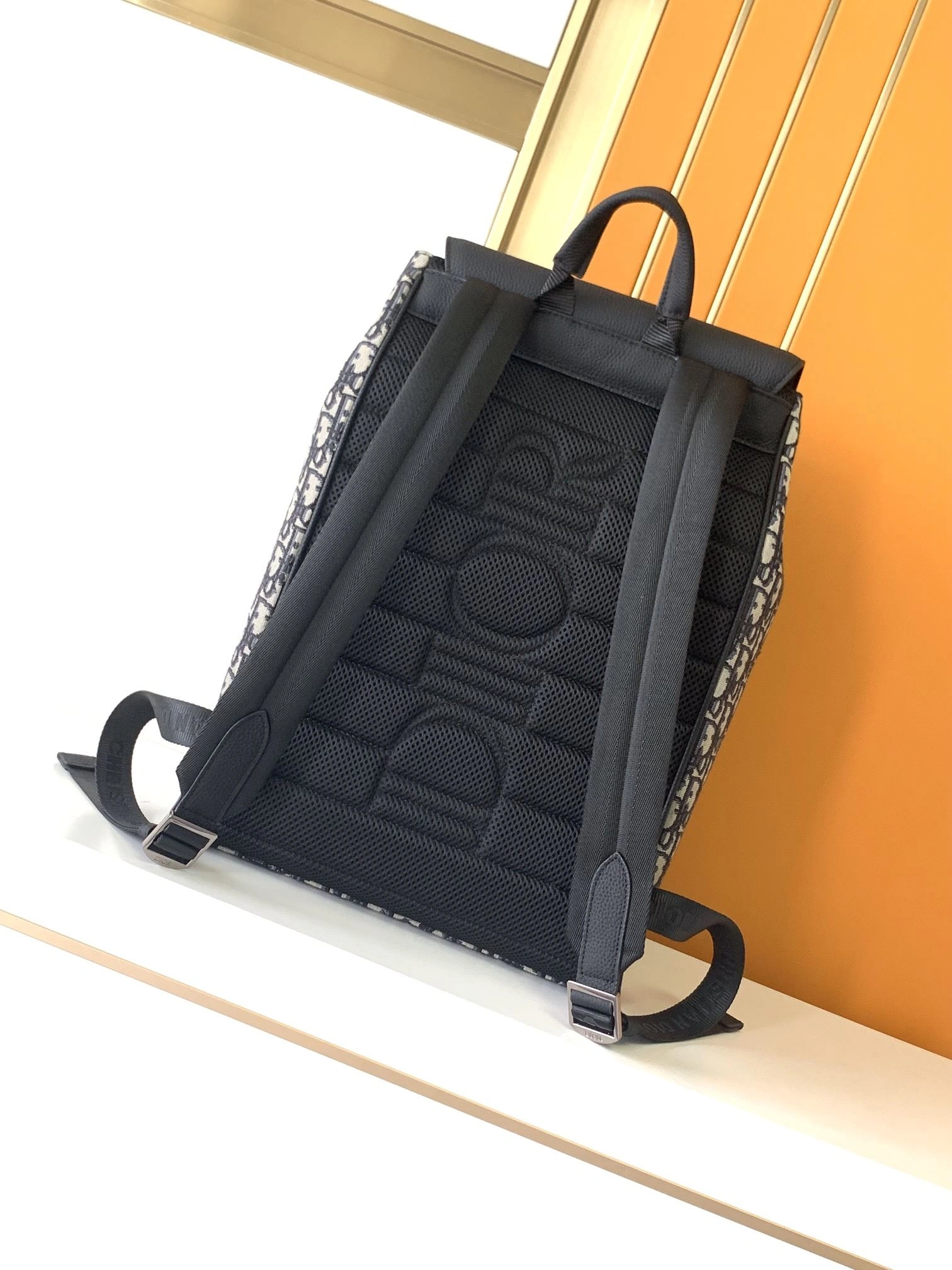 Mens Christian Dior Backpacks QuickDry 92091
