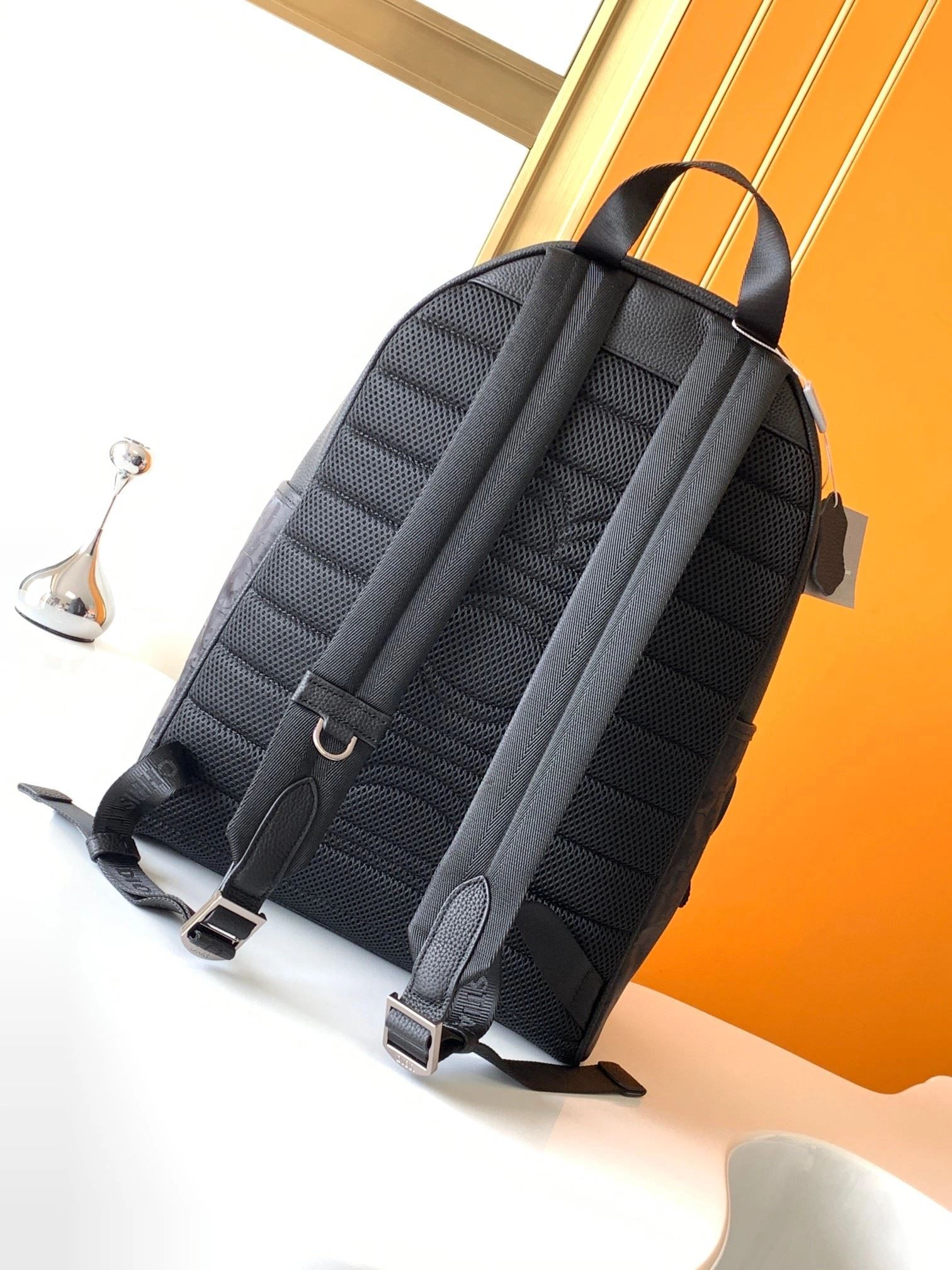 Reliable Mens Christian Dior Backpacks 92084